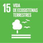 objetivos desarrollo sostenible onu reforestar