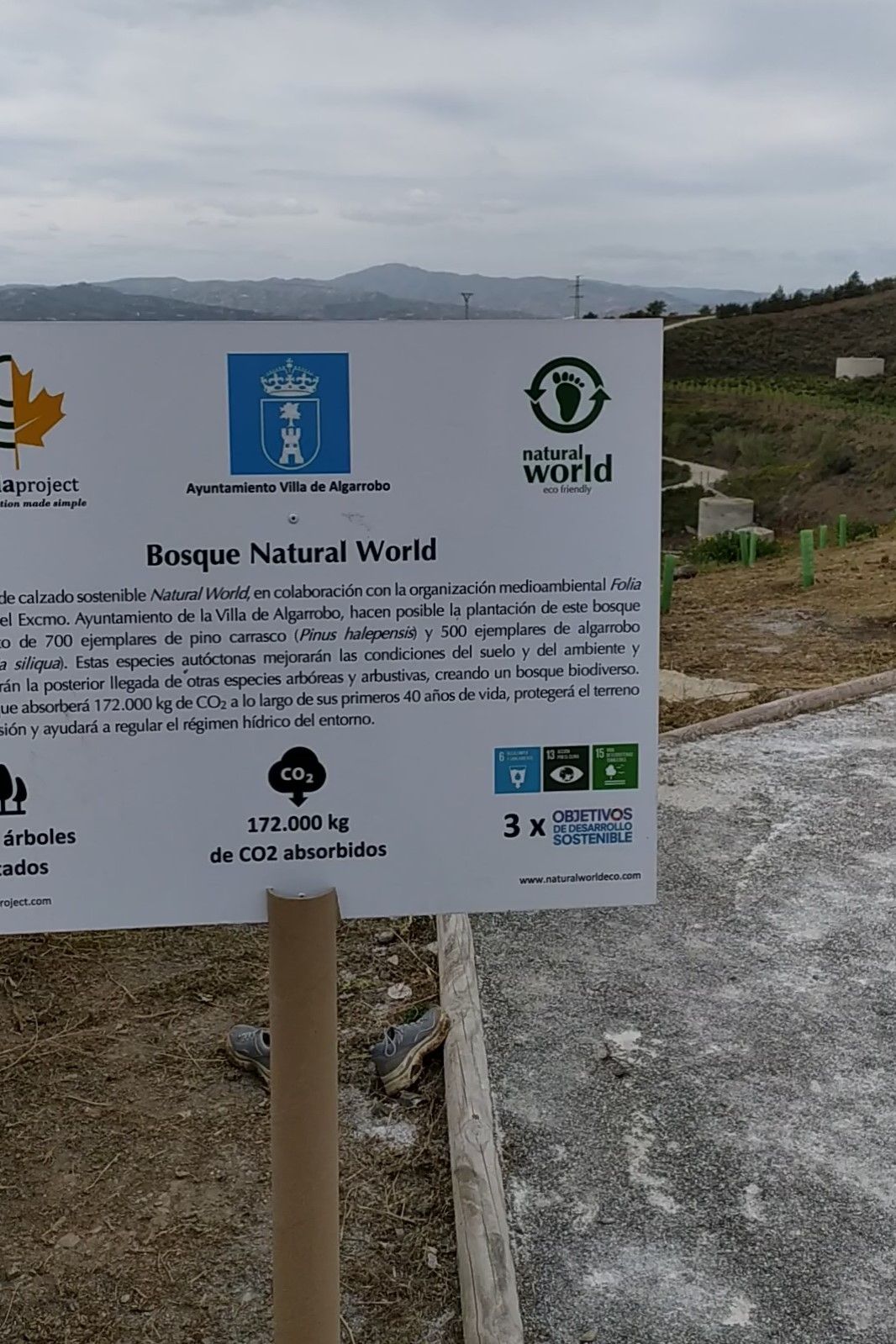 rsc empresas sostenibilidad co2