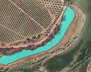 parcela reforestacion