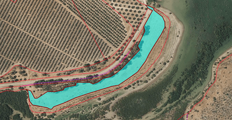 parcela reforestacion