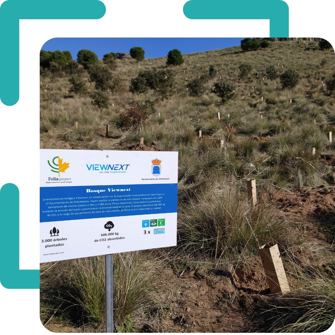 bosque empresa
